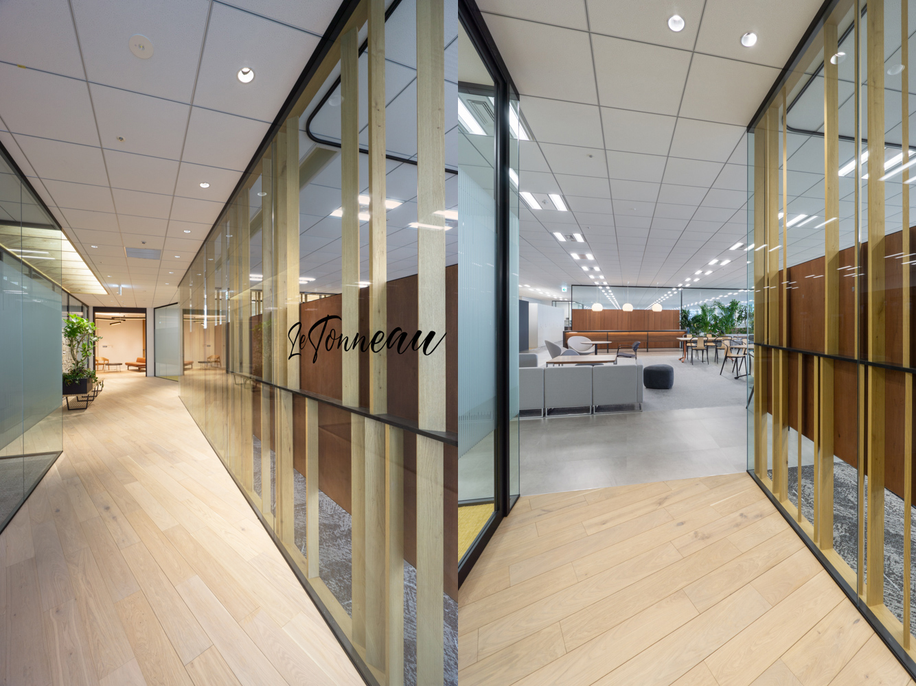 Firadis - Office Interior 1