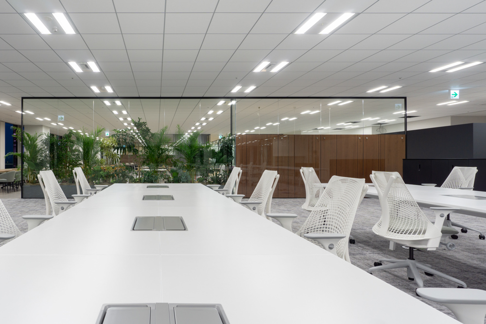 Firadis - Office Interior 3